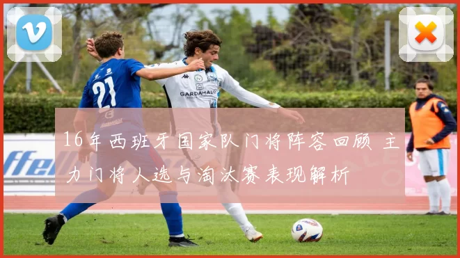 16年西班牙国家队门将阵容回顾 主力门将人选与淘汰赛表现解析