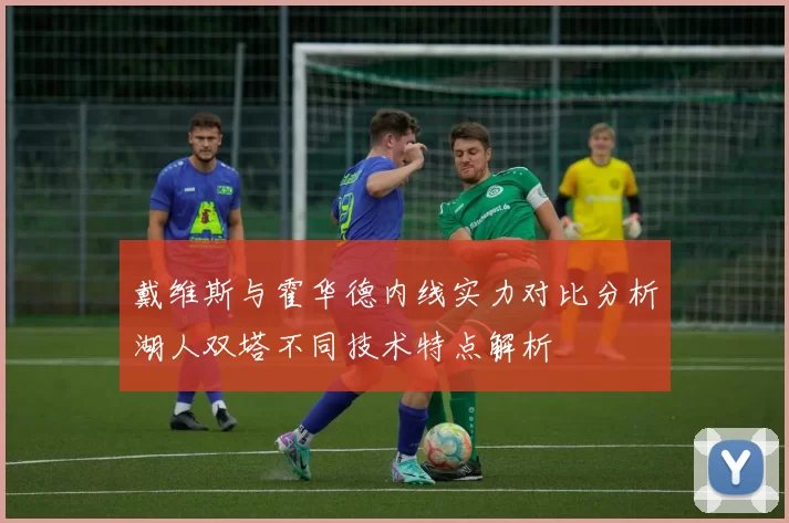 戴维斯与霍华德内线实力对比分析湖人双塔不同技术特点解析