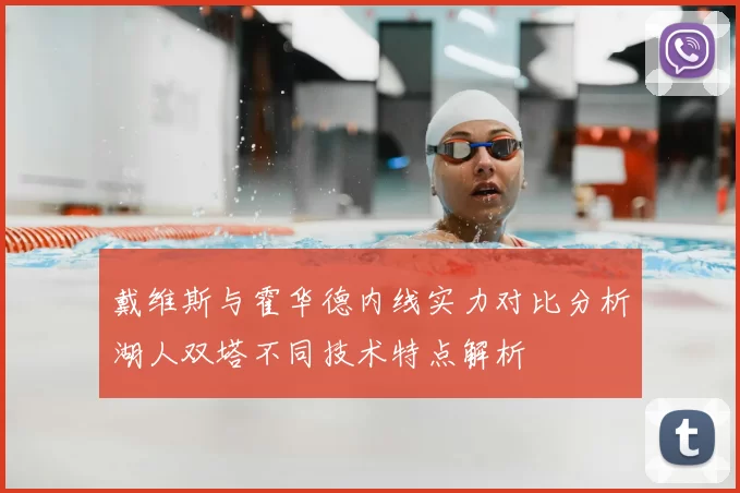 戴维斯与霍华德内线实力对比分析湖人双塔不同技术特点解析