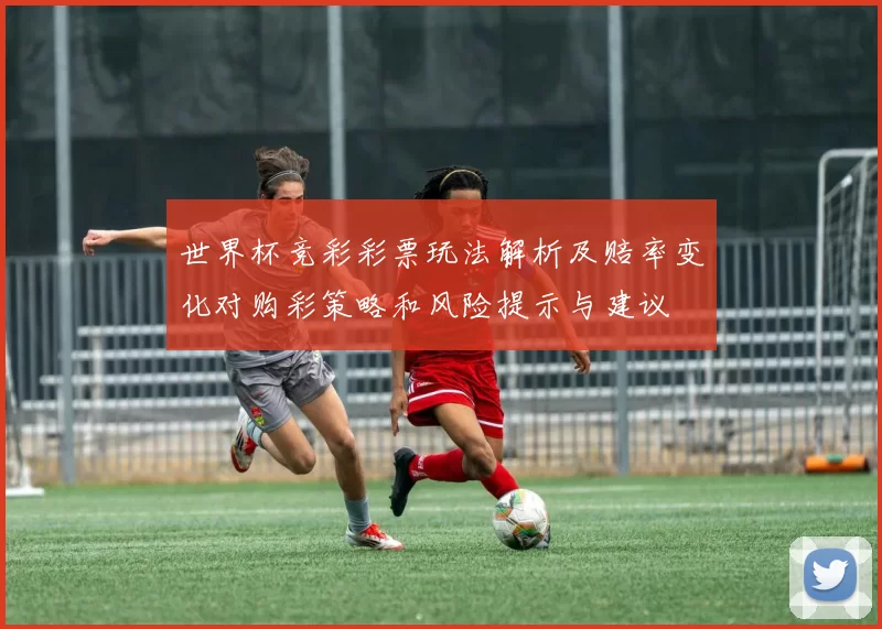世界杯竞彩彩票玩法解析及赔率变化对购彩策略和风险提示与建议