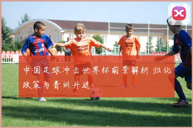 中国足球冲击世界杯前景解析 归化政策与青训并进