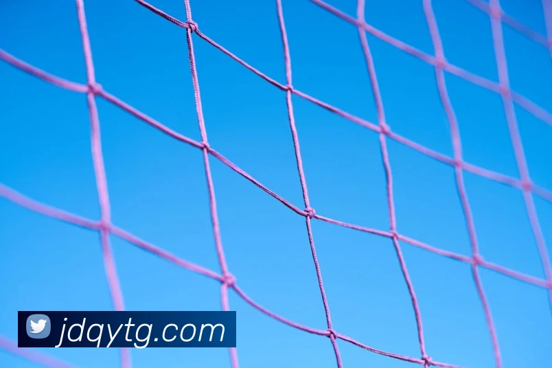 mksports官方APP 体育赛事宣传图
